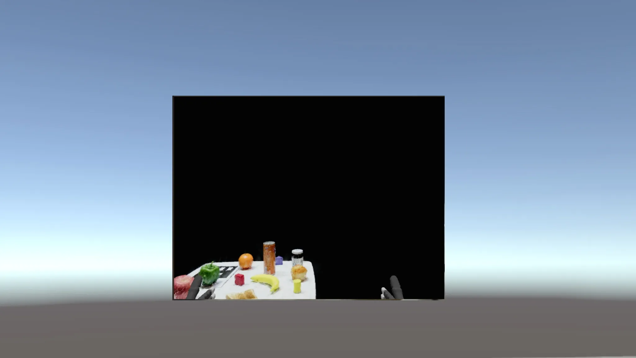 camera_view