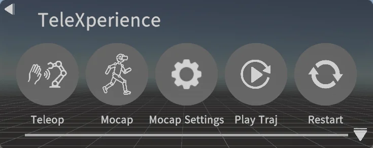 TeleXperience