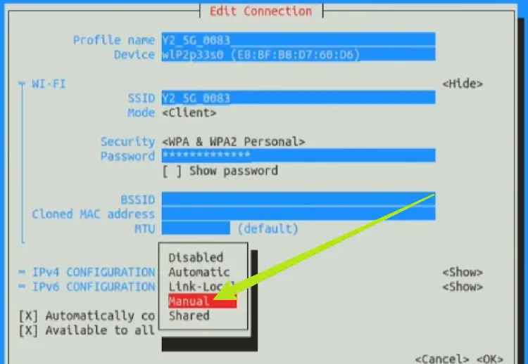 Manual IPv4 options